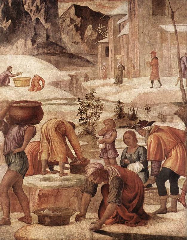 LUINI, Bernardino The Gathering of the Manna s Germany oil painting art